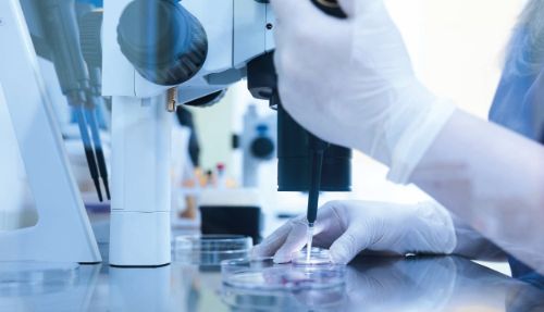 In vitro diagnostiek